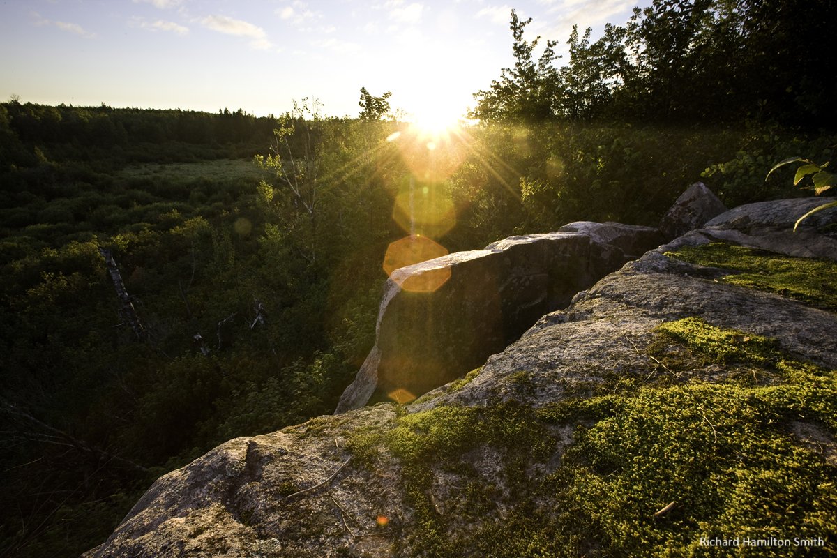 The Nature Conservancy in Minnesota tweet media