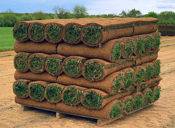 TotalSeasons's tweet photo. We have sod smarter than Eric Trump https://t.co/zreTL3tub5