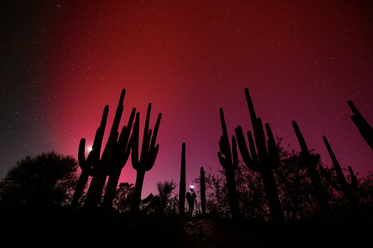 Standing with giant saguaros under the aurora is a moment I’ll never forget!