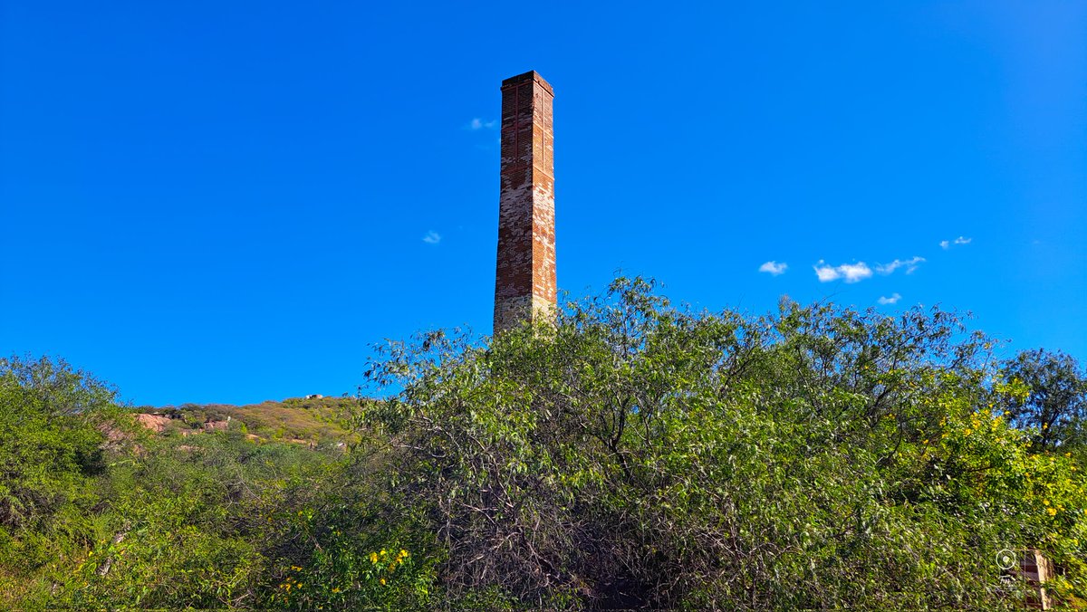 felixns_7's tweet photo. #FelizLunes
📍#ElTriunfo #BCS #México
¡Encuentra mas videos en https://t.co/vAG9lWVZOT y suscríbete!
#fotodeldia #picoftheday #MondayMotivaton #bajaroad #bajatrip #fotografía #ecoturismo https://t.co/SPXWbVPEjo