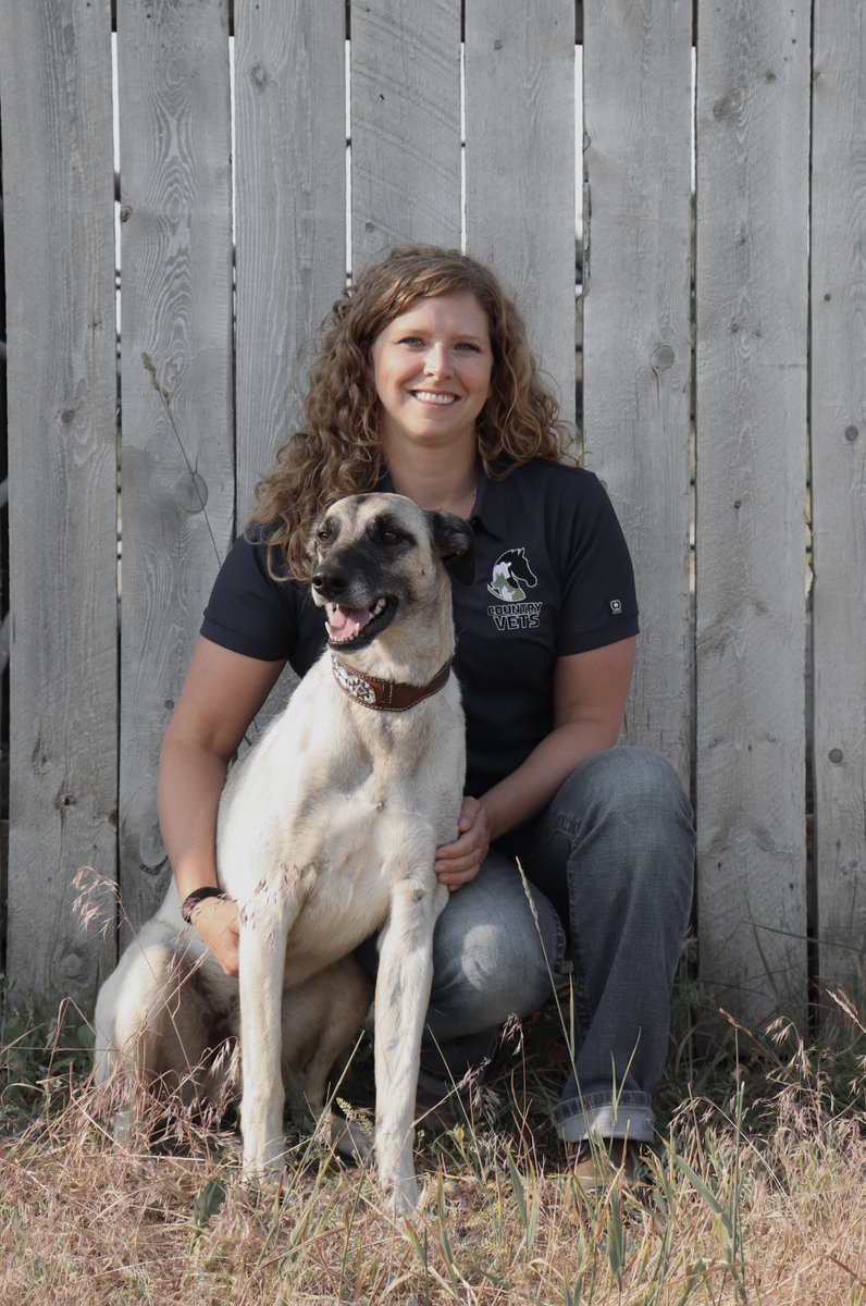 Dr. Elliott from Country Vets is a UCVM alum and a mentor in our DVLC where fourth year students gain hands on experience. She finds mentoring incredibly rewarding and says it is about nurturing the next generation of vets. vet.ucalgary.ca/news/alumni-nu…