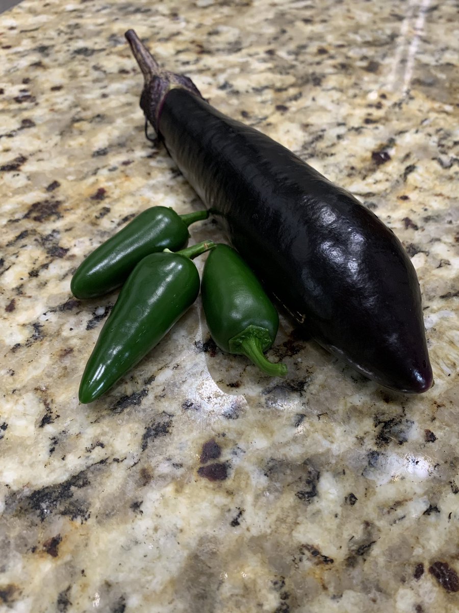 Is that a Japanese eggplant from my little garden or am I just happy to see you?!?

Wait… 🤔