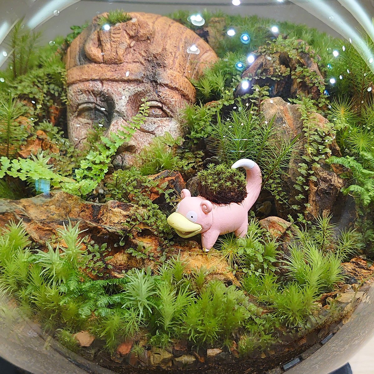 kokemoss_ydn's tweet photo. mossmile×こけもすコラボ その1
「遺跡に迷い込んだヤドン🗿」

いつかコラボしたいと思い一年以上…
ついにmossmileさん(@mossmile6)とコラボさせて頂くことができました!! https://t.co/pqWLVIut2K