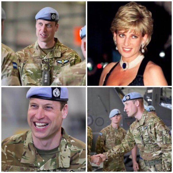 Harry and Meghan’s social media trolls can’t stand that Prince William looks like his mother Princess Diana & Prince Harry doesn’t. The way they weaponise his mother against him is unhinged but watching their meltdown is golden 🫢You can’t change William’s Spencer bone structure.