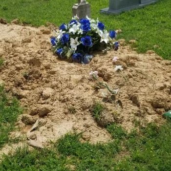 Went to my mother's grave yesterday. I didn't know it took so long before the grass started to grow.<a href="/tag/nintendoswitch"class="tags"><span>#nintendoswitch</span></a>