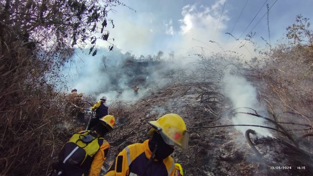 #13May | Más de 100 funcionarios de Bomberos Forestales y la Brigada de Control de Emergencia Industrial de Corpoelec combaten incendio forestal en el sector Tacoa de Maripérez en el Parque Nacional Warairarepano. #5SeñasDelPueblo