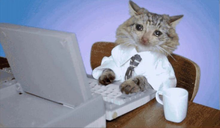ariiiichaaaa's tweet photo. The conditional formatting on the spreadsheet stopped working while I was sharing my screen in a meeting https://t.co/C1V8am3o5e