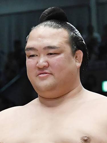 中学生ぐらいの奴でめっちゃ稀勢の里に似てたんだよなぁ...