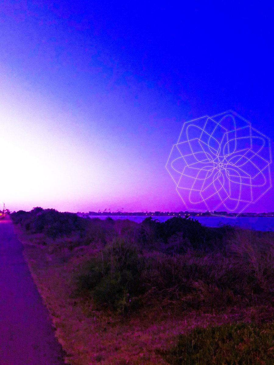 Glossy metal prints "Before The Light Wakes 05" tap to get yours:  inprnt.com/gallery/kodand… Digital media, 2022
Photo in Alameda, California