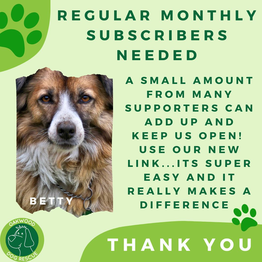 Would you consider donating regularly each month?🙏 A small amount, from each follower, a month can help keep the dogs fed, warm & a roof over their heads 🐶 Our new link makes it super easy 💚 nowdonate.com/checkout/en7i1… #k9hour #rescue #adoptdontshop #teamzay #dogsoftwitter #dog