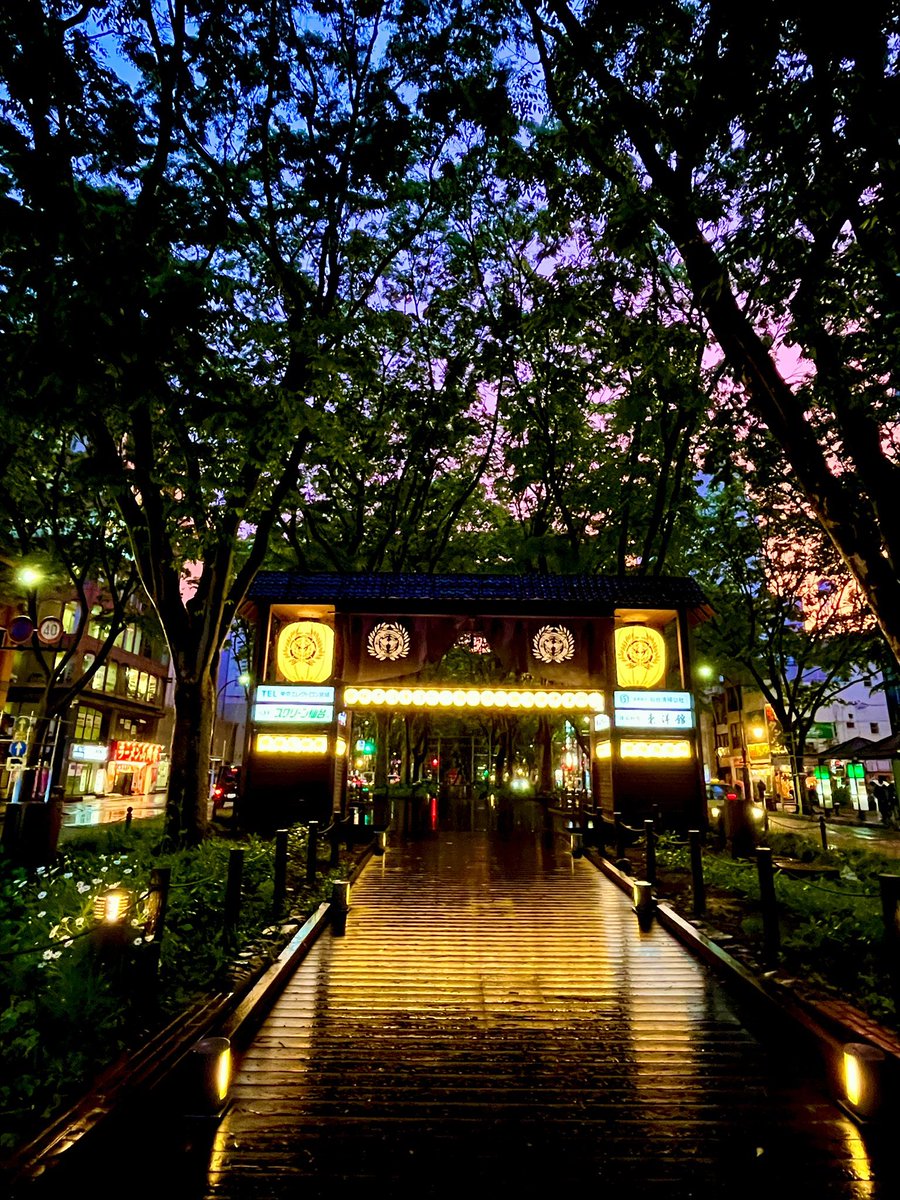 mica_panda's tweet photo. 昨日の夕方、定禅寺通。

藤城清治の世界っぽい…✨

ちょっとビックリするくらいの美しさでした。

#仙台 #定禅寺通 #青葉まつり https://t.co/CxZOM1ZvR0
