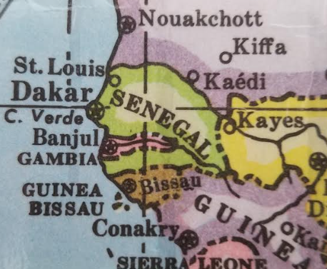 #Senegal: Additional Crimean-Congo hemorrhagic fever (#CCHF) case reported #Africa open.substack.com/pub/outbreakne…