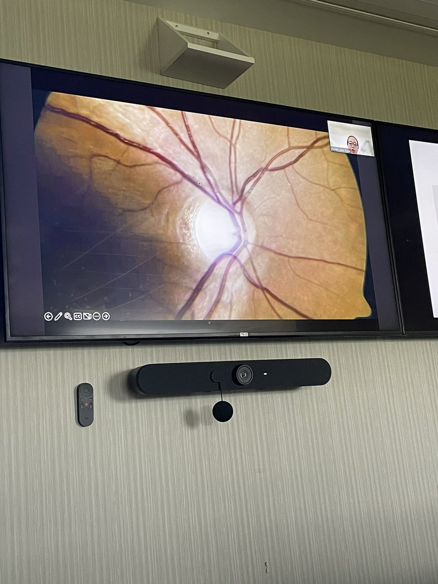 Joel Wright 🇯🇲 tweet media