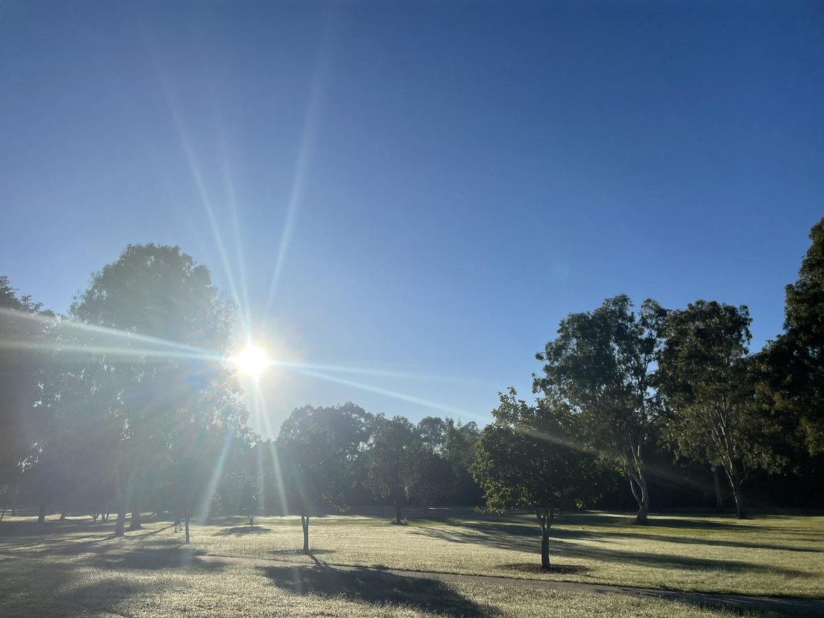 It looks like a great day ahead! 🌞☀️
First seen: a magpie. First heard: a magpie. 🐦😃 #birdwatching #BirdTwitter #FirstSeenAndHeard #BirdsOfTwitter #FirstBirdOfMyDay #birds #Ipswich #Qld #Australia