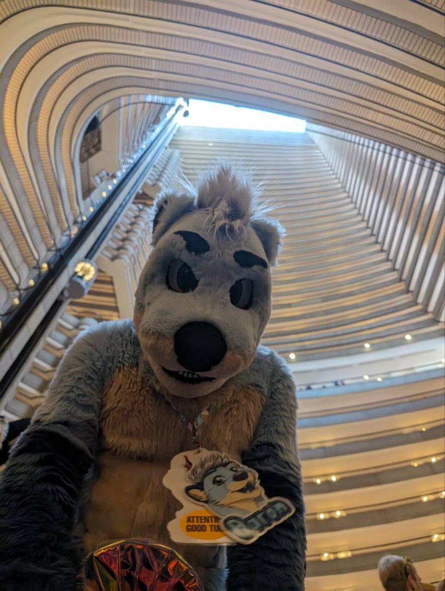 Aaron๐ฆฆ (@aarontehotter) on Twitter photo Had an amazing time at FWA2024! I met so many friends that I've only known in VR. I can't wait for the next con! ๐๐ฆฆ
๐ท:<a href="/snepstuffs/">Silver Snep</a> Had an amazing time at FWA2024! I met so many friends that I've only known in VR. I can't wait for the next con! ๐๐ฆฆ
๐ท:<a href="/snepstuffs/">Silver Snep</a>