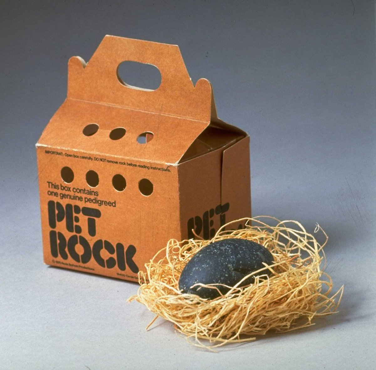 In 1975 a guy invented pet rocks, they became a fad, and he sold over a million of them.

It was a rock. In a box. On straw. With, apparently, a funny manual.

$4 at the time. $23 today.

FOR A ROCK YOU COULD GET FOR FREE.

#PetRocks
