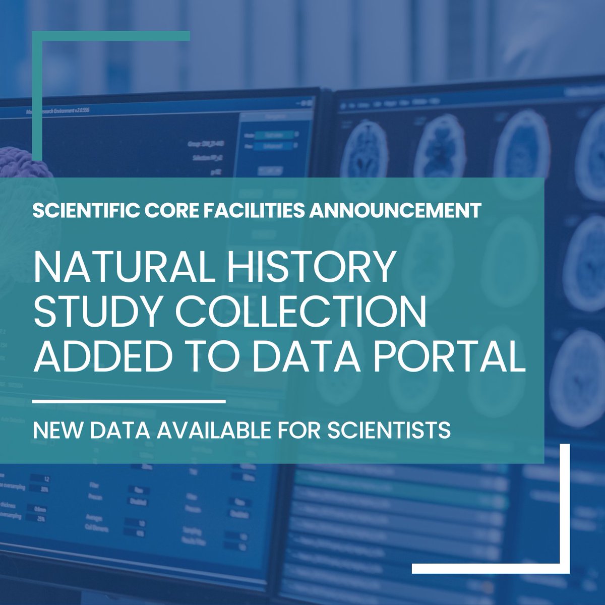 The Natural History Study Collection is now available on the @TargetALS_fdn Data Portal, created in collaboration with @DNAstack & @Verily. Access data from our ongoing study to drive biomarker & target discovery for #ALS. bit.ly/3WGtBSZ #ALSResearch #EndALS