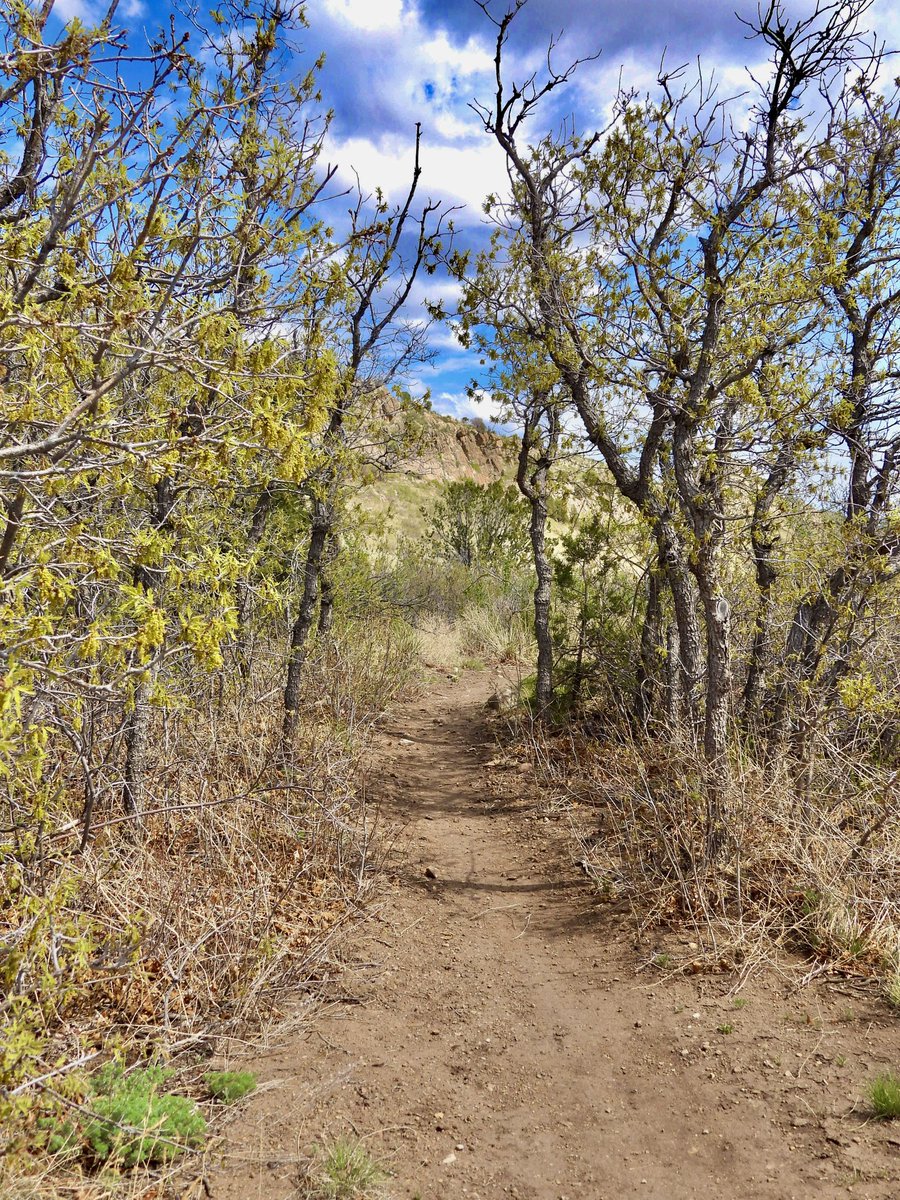 🇺🇦Didi 2. #IStandWithUkraine tweet media