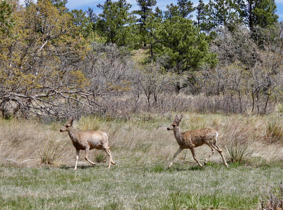 🇺🇦Didi 2. #IStandWithUkraine tweet media