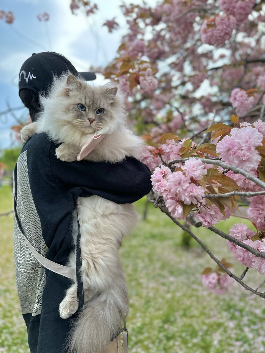 なんかデカくない？