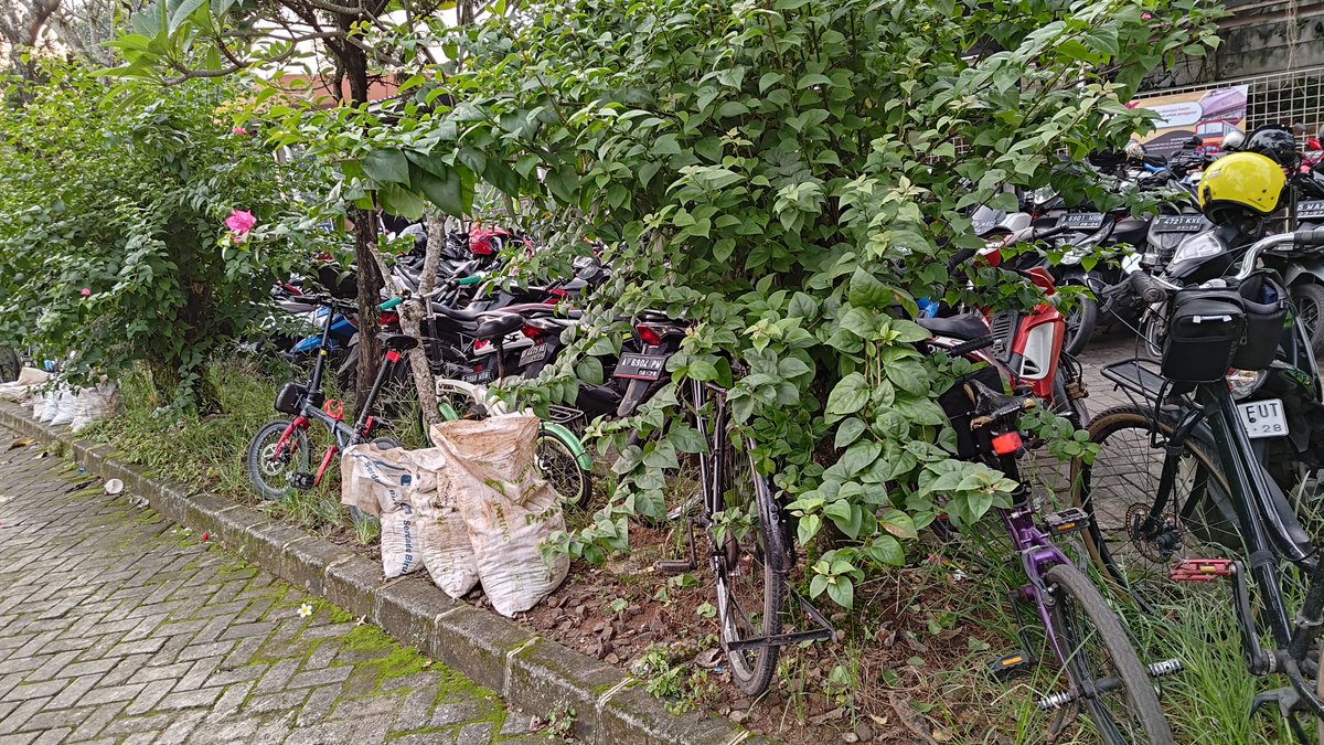 FadliMohammad's tweet photo. Mohon @CommuterLine St Jurang Mangu yg sedang melakukan pembangunan lahan parkir, sediakan space khusus unruk parkir sepeda. Jangan kami dianggap warga kelas 2 disuruh parkir di pohon2. Cc @B2WIndonesia https://t.co/WMlPnZHhBK
