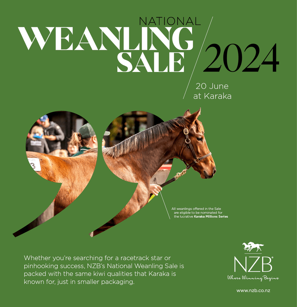 🇳🇿 | @KarakaChat National Weanling Sale 20 June, 2024 🗓️ Catalogue now online 📖