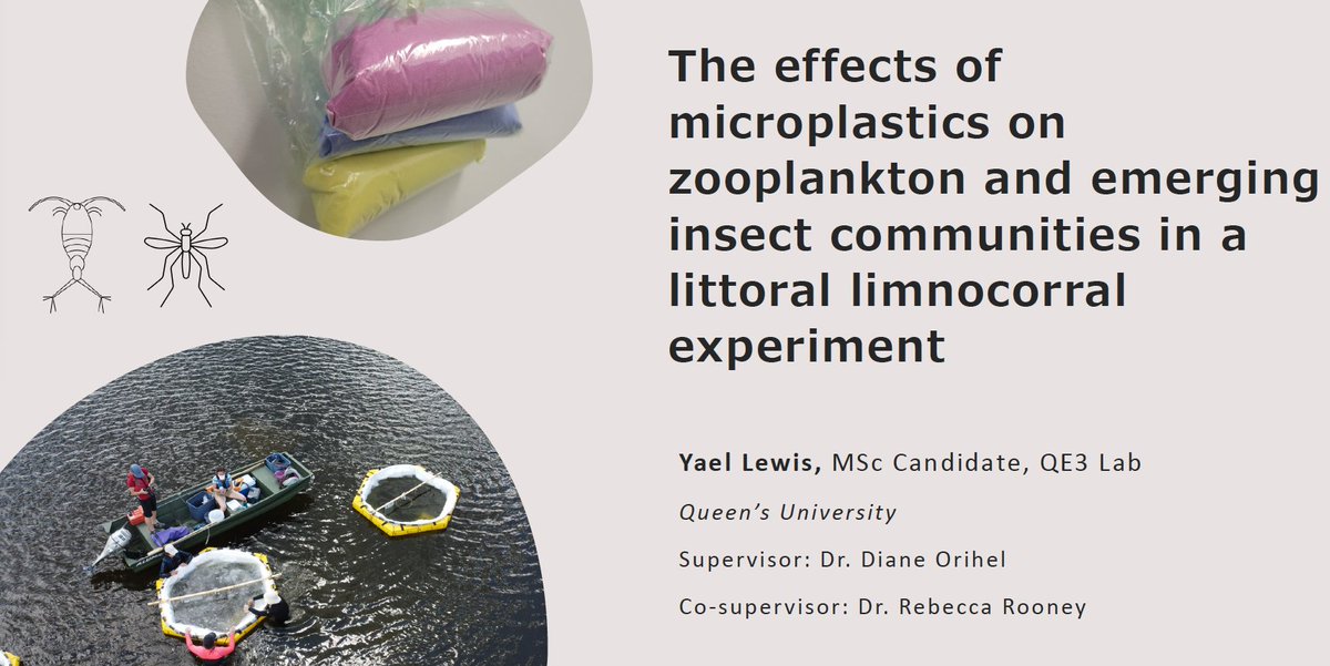 Huge congratulations to <a href="/QE3_Research/">QE3 Research</a> MSc student Yael Lewis on successfully defending her thesis today - with flying colours - on the effects of #microplastics on littoral zooplankton and emerging insect communities <a href="/IISD_ELA/">IISD Experimental Lakes Area</a>. A top-notch <a href="/QueensUBio/">Queen's Biology</a> defence!