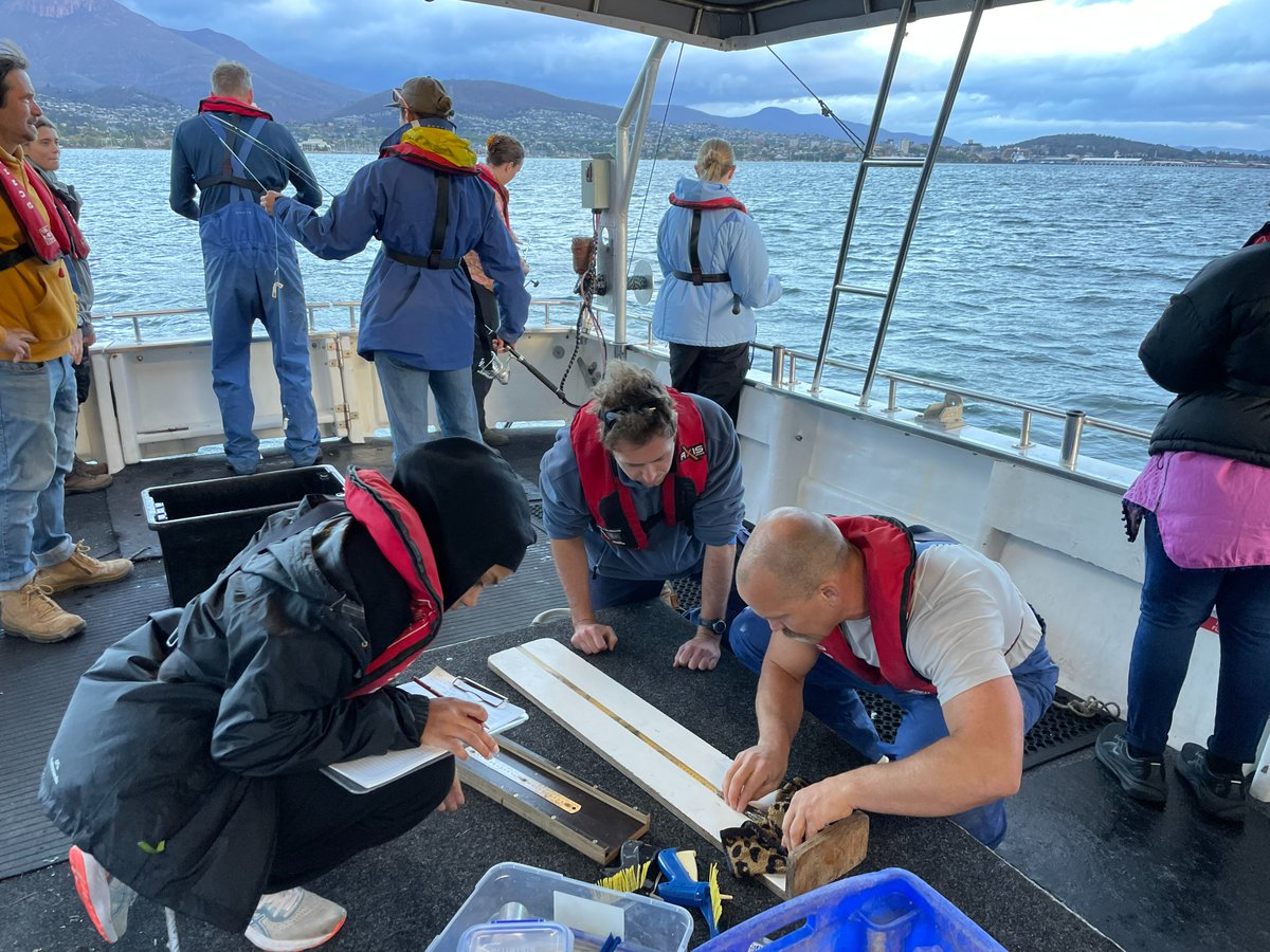IMAS fisheries students recently helped researchers measure and tag over 250 Sand flathead in the River Derwent to better understand their population dynamics, with this data to support a major research project. ✨ Put yourself in the picture: utas.edu.au/study-at-IMAS @UTAS_