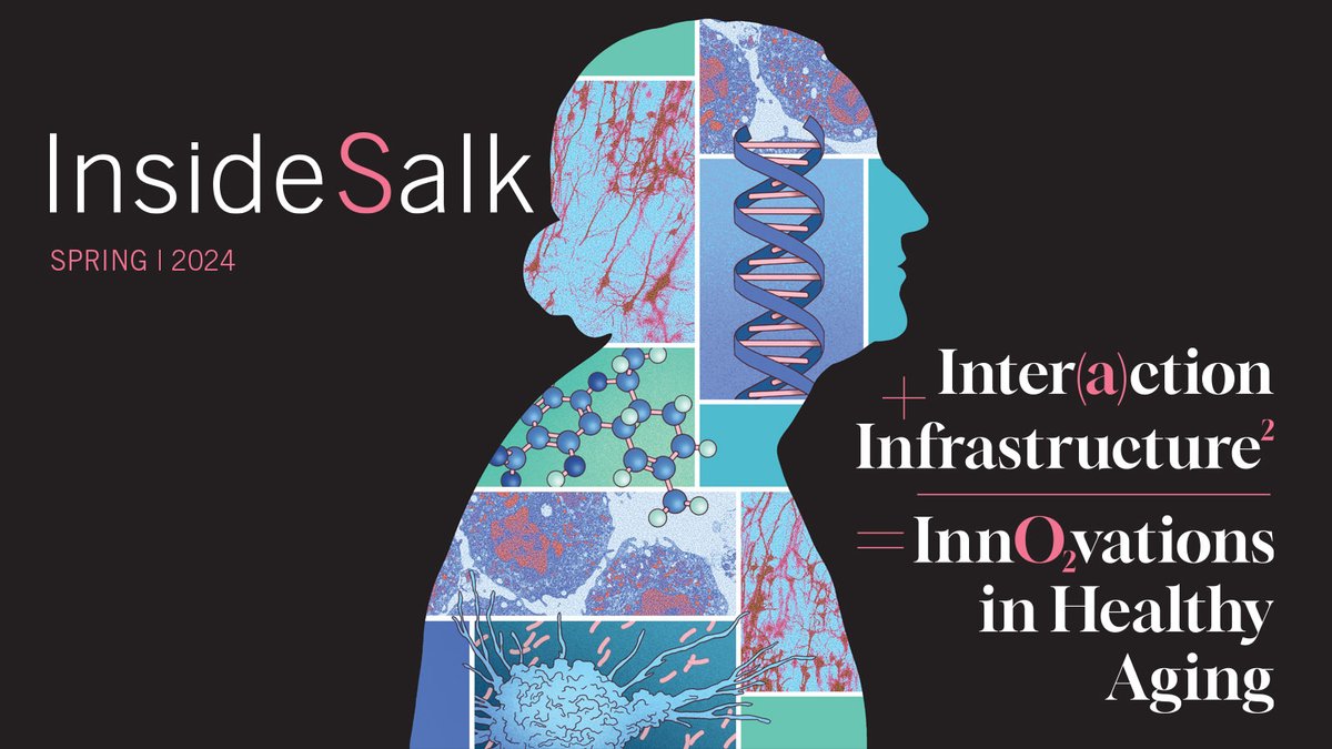 🚀 Exciting news! The latest issue of Inside Salk magazine is now online! Dive into groundbreaking research, inspiring stories, and exclusive updates from the Salk Institute. Read it at inside.salk.edu