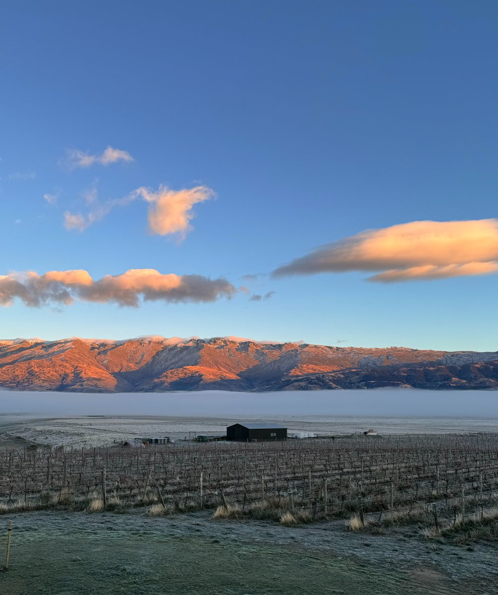Frosty but so beautiful out at Folding Hill this morning. Thick blanket of mist sitting over the mighty Mata-au river. Unseen, in the winery the Pinot Gris ticks on slowly........