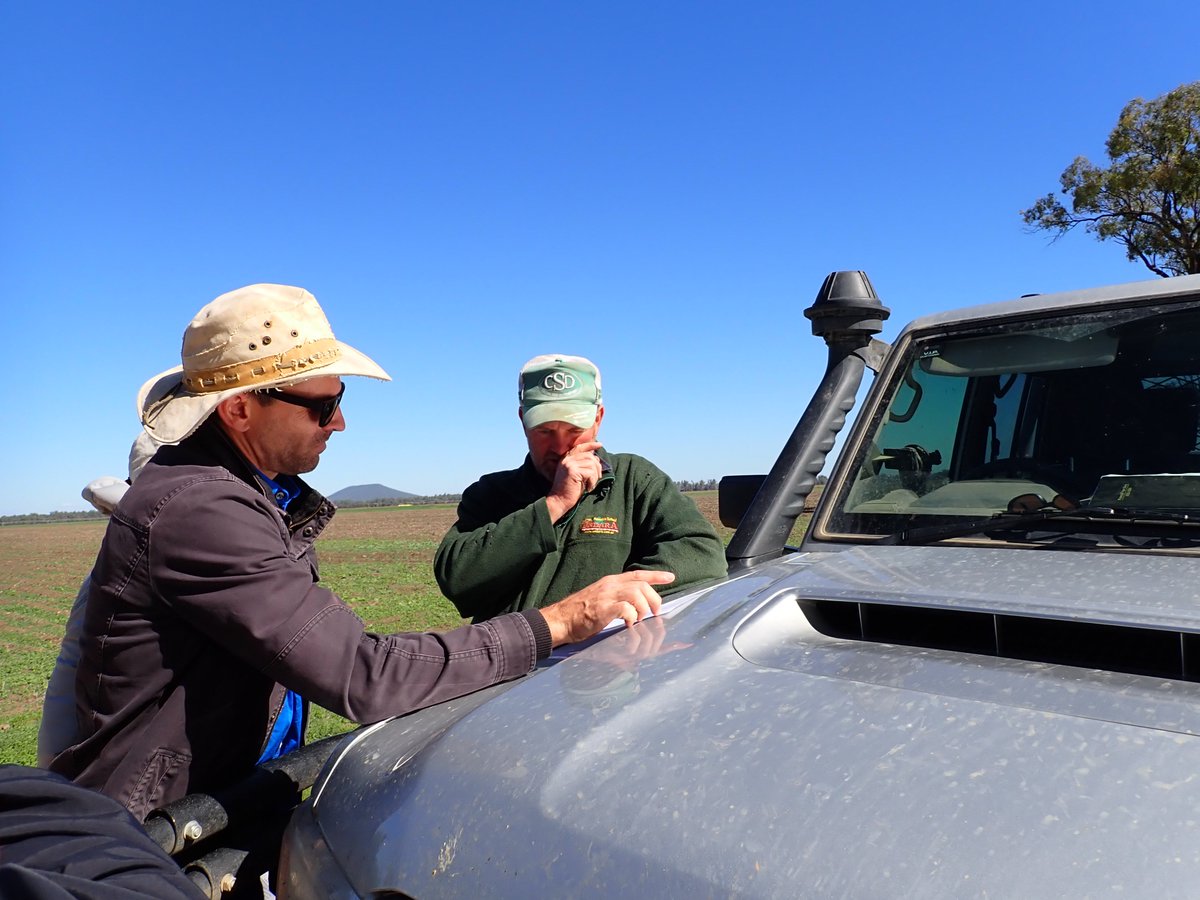 We spent the last week mapping canola paddocks in Tamworth region to identify landscapes that support beneficial insects🐞. Many thanks to all growers and agronomist for their assistance with Canola Allies project👏 @NSWDPI_AGRONOMY @theGRDC @CSIRO @cesaraustralia