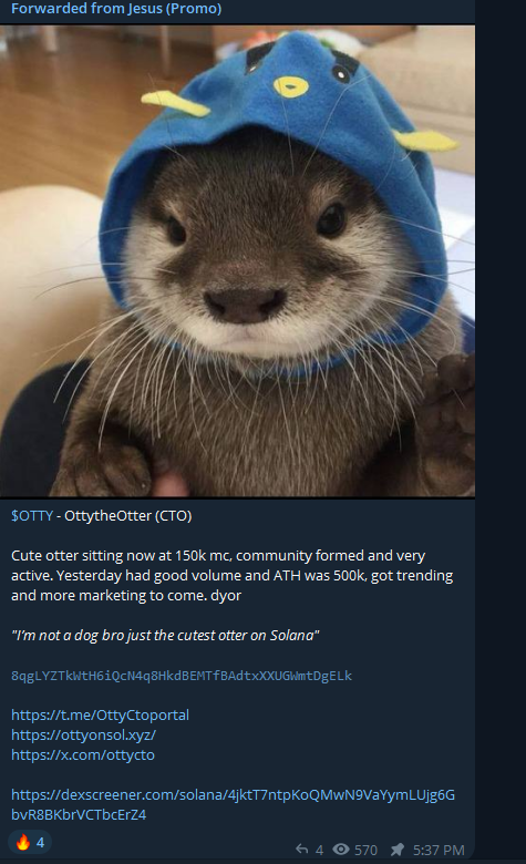 $OTTY GOING TO THE🌕🚀 JESUS CALL AND TRENDING IS GOING NOW! GET WITH THE $OTTY COMMUNITY
TG: t.me/OttyCtoportal
CA: 8qgLYZTkWtH6iQcN4q8HkdBEMTfBAdtxXXUGWmtDgELk