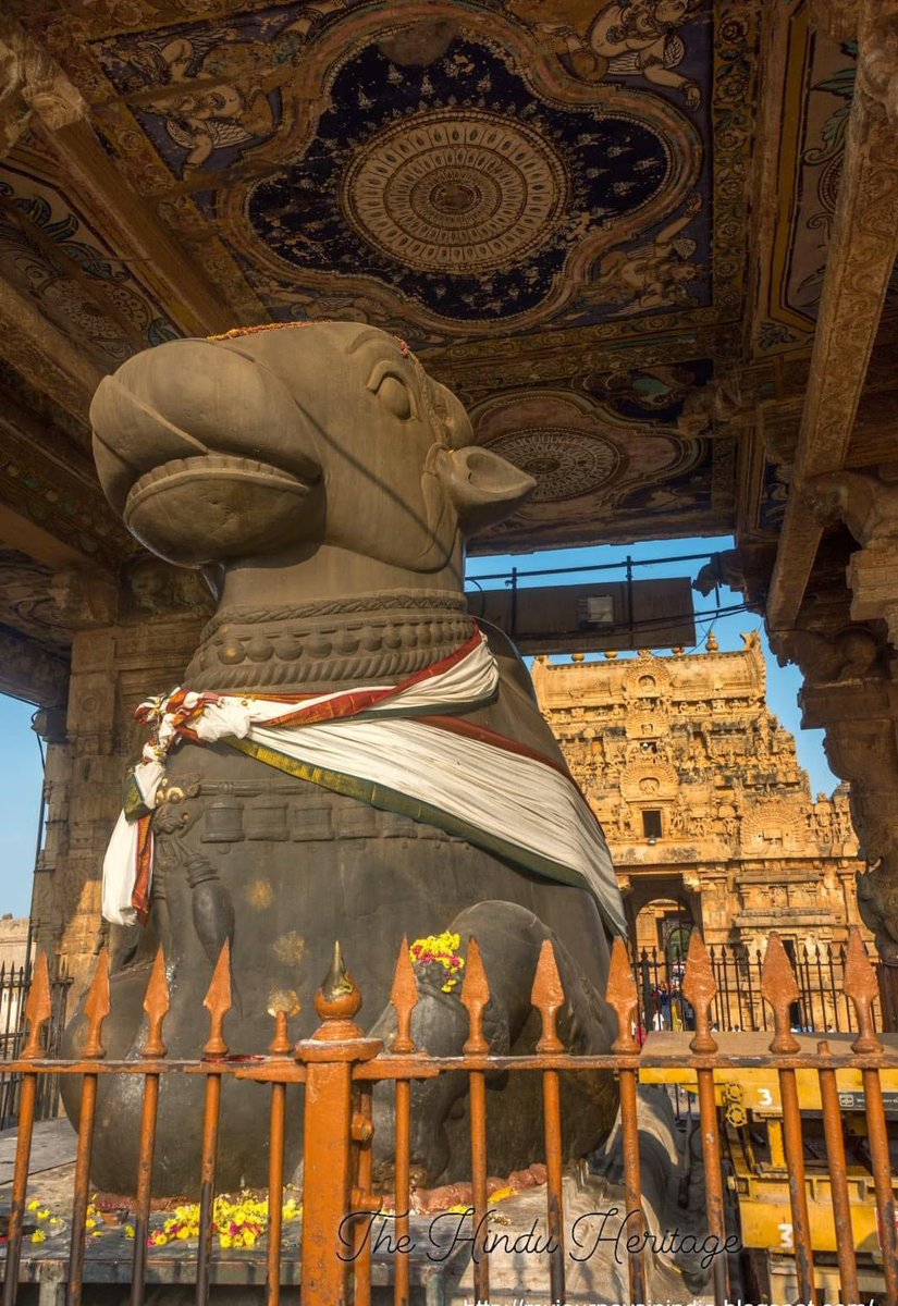 🕉 The amazing Nandi - vahana of Bhagwan Mahadev of Big Temple Sri Brihadeeswarar Temple , Thanjavur, Tamilnadu ! The single stone made Nandi is 19 ft long & 13 ft in height & weighs over 20 tonnes 🚩 #IncredibleIndia
