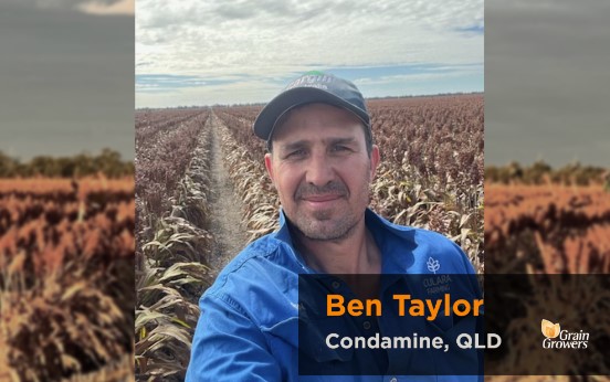 #PaddockPerspective 🚜 Ben Taylor farms on the Western Darling Downs, QLD. He's also a grower representative on our National Policy Group. 

👉 See how Ben's season is shaping up: ggl.pub/3yjxtzh