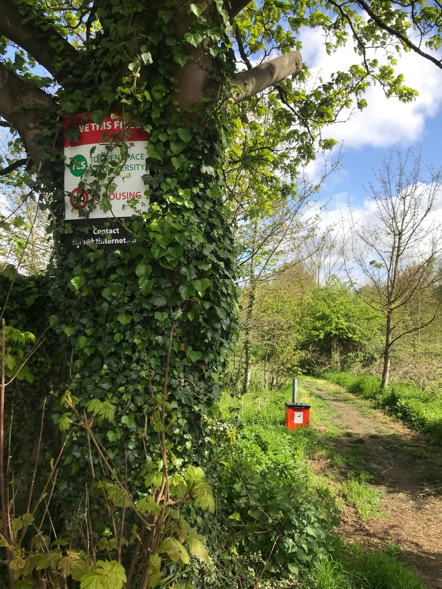 Not so much a failing to protect nature by @MyDoncaster as deliberate action to destroy it: publicly owned wildlife habitat at RoseHill sold to a developer by a council that says it protects green spaces & biodiversity. No wonder nature is in crisis @Independent @WildlifeTrusts