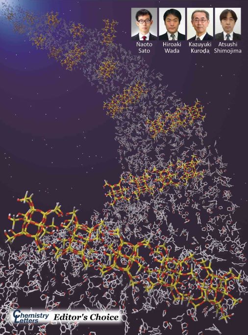 #OnTheCover #FreeAccess
[カバー紹介][EDITOR'S CHOICE]

academic.oup.com/chemlett/artic…