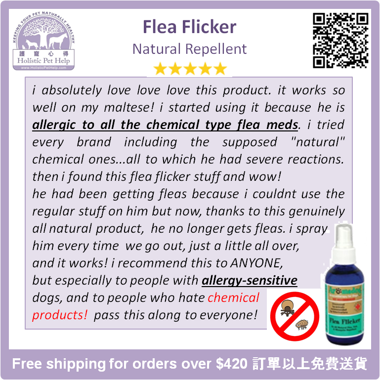 holisticpethelp.com/en/aromadog-fl…
#flea #Aromadog #aromatherpy #bugs #香薰療法 #natural #Holistic #holisticpethelp