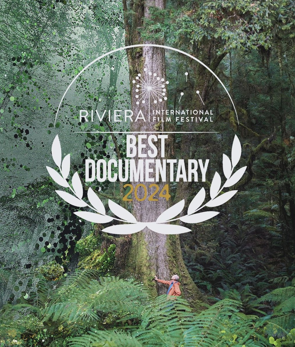THE GIANTS won Best #Documentary at @FilmRiviera2024 in Italy on Sunday!😇 Particularly chuffed as Jury included Academy Award winning Director @evaorner & rebel icon @SusanSarandon. #Forests are #WorthMoreStanding. Say No to #deforestation. #film