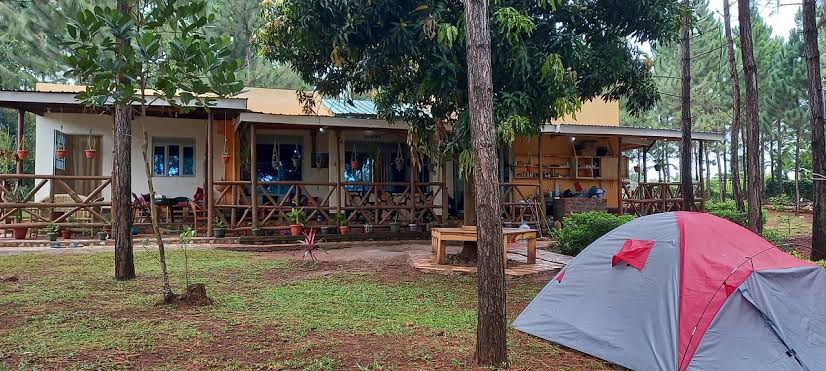 Destination Jinja tweet media