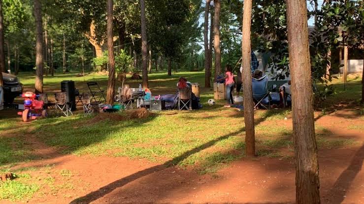 Destination Jinja tweet media