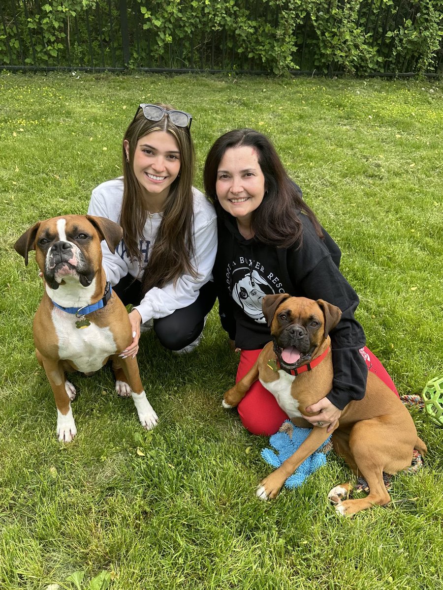 Happy Monday! Happy adoption day to Mick&Maddie. They were so lucky to have a committed adopter to keep this sweet pair together. Happy life sweet pups! #adopted #rescuedogs #adoptdontshop #boxerdogs #boxerdoglovers #boxerlove #dogs #boxerrescue #rescued