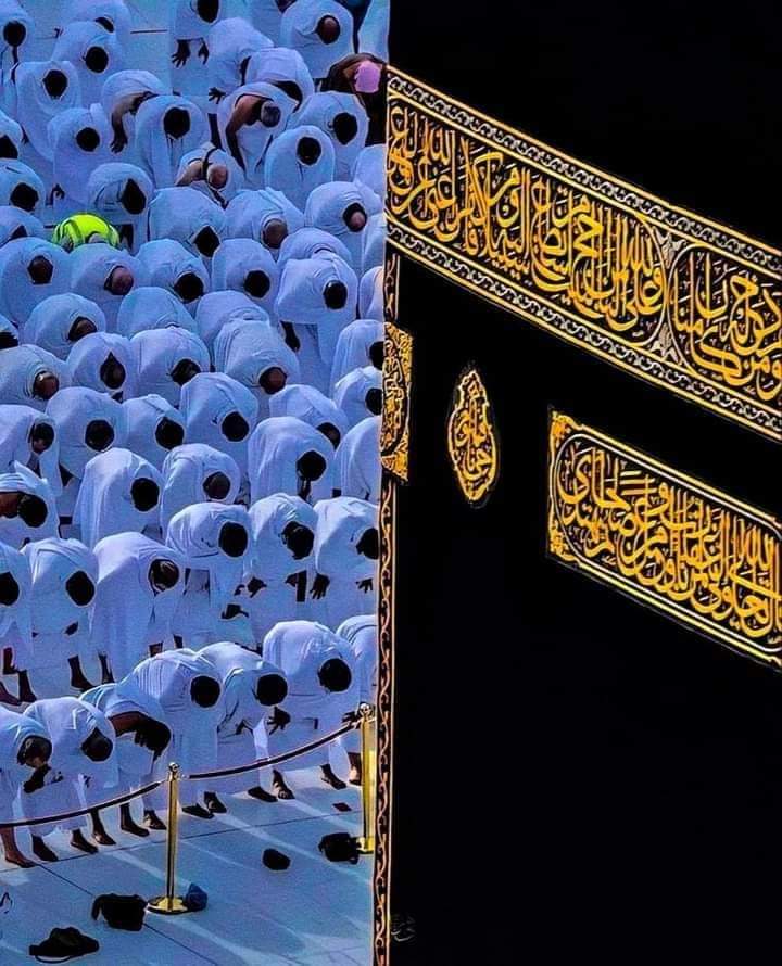 صـــــد𝓈𝒶𝒹𝒶𝒻𝓈𝒽𝑒𝓇𝒾𝒻𝒻فـــ tweet media