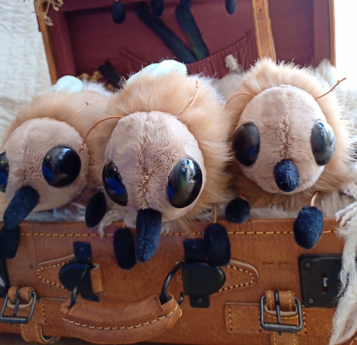 MrsBsInsects's tweet photo. .
New Beeflys!
Ready for the market sale that starts on Thursday ✨ 🪰
.
#textileartist #insect #insectplush #artdoll #biginsect #plushartist #insekt #insektplush #textilesculpture #artdoll #beefly #beeflys #wollschweber #plushartist #wollschweberliebe #plushart #artist https://t.co/d63jVtzd0P