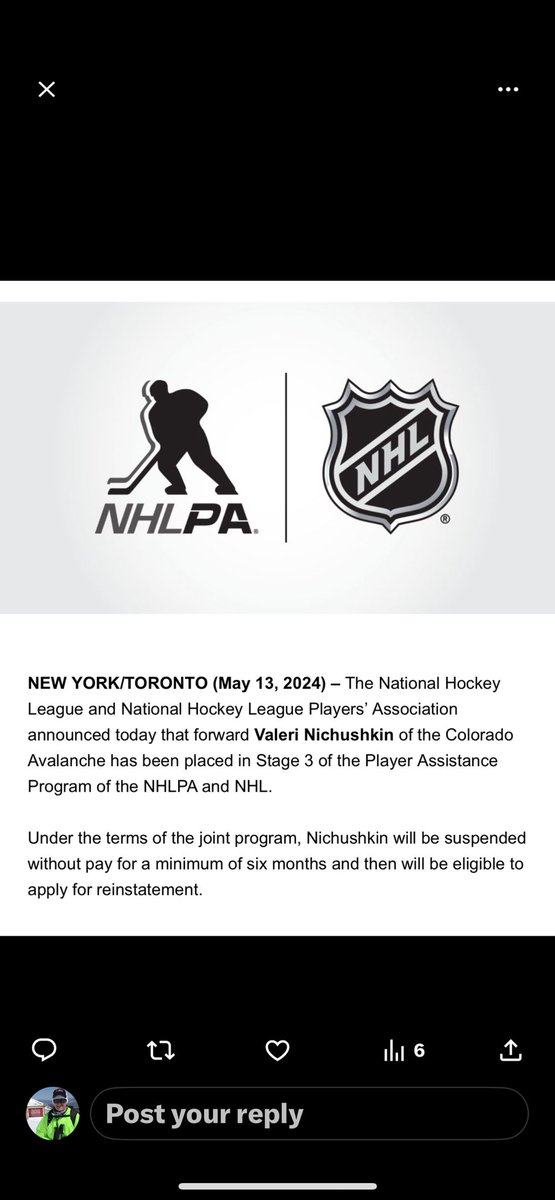 This announcement comes about an hour before game 4. Val Nichuskin has been suspended for 6 months for another violation of the NHL's Player Assistance Program. He was tied for the NHL lead with 9 goals in the playoffs. #GoAvsGo #Avs @DenverChannel