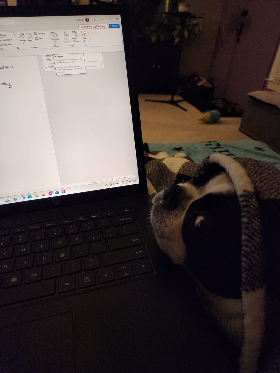 Mr. Phillip's Monday Mood 

Evidently, he disapproves of the chapter I've just written in Detective Josie Quinn book 21. I mean, co-written. 

#chroniclesofphil #philsmondaymood #authorsdog #bostonterrier #josiequinn #josiequinnseries #book21