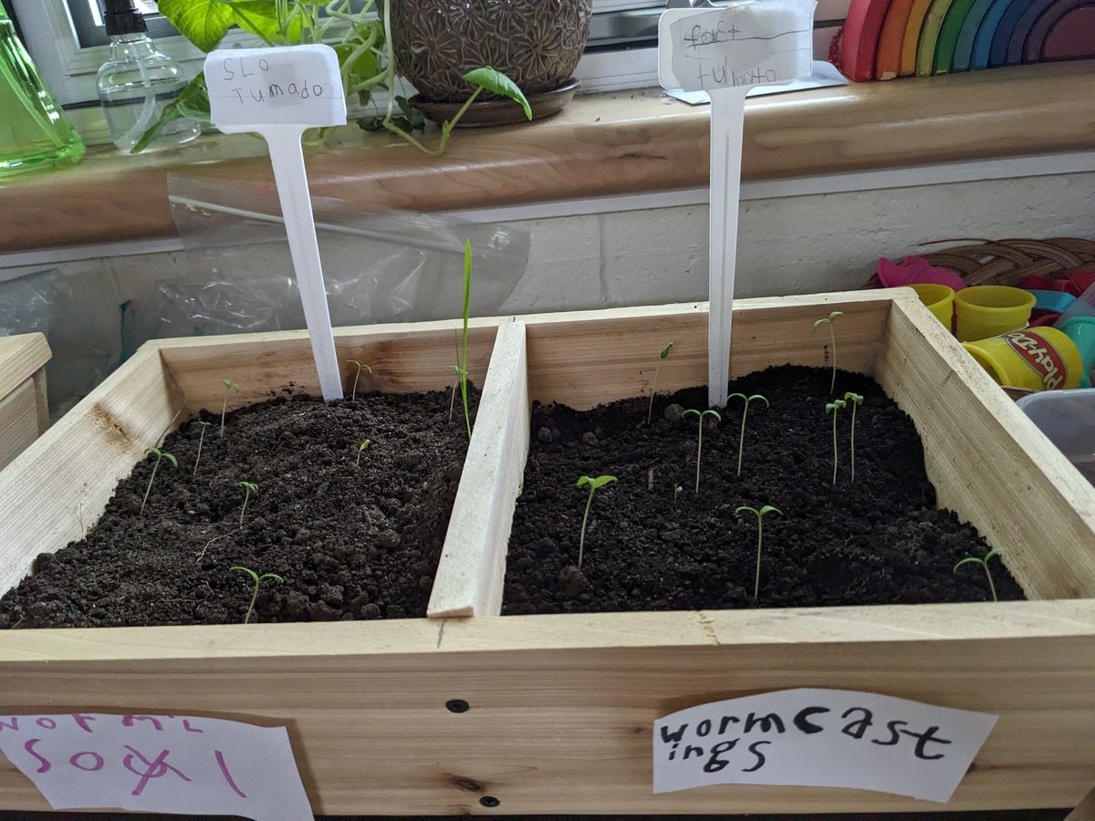 Ms. Funnell-Kononuk tweet media