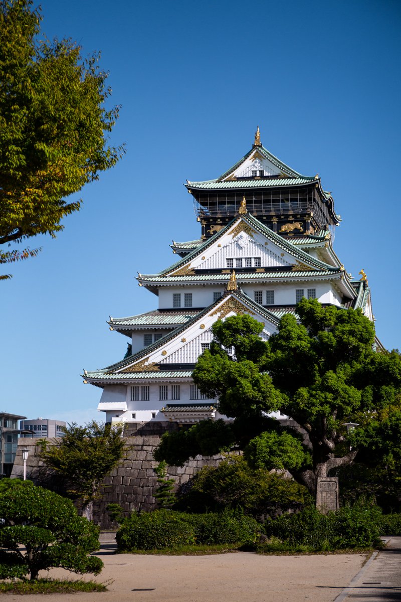 This is Osaka Castle, In Osaka Japan 🇯🇵

The popular tourist destination was built in the 16th century and had several reconstructions since.

It is surrounded by a park, making it a scenic spot for leisurely strolls and picnics, especially during the cherry blossom season.