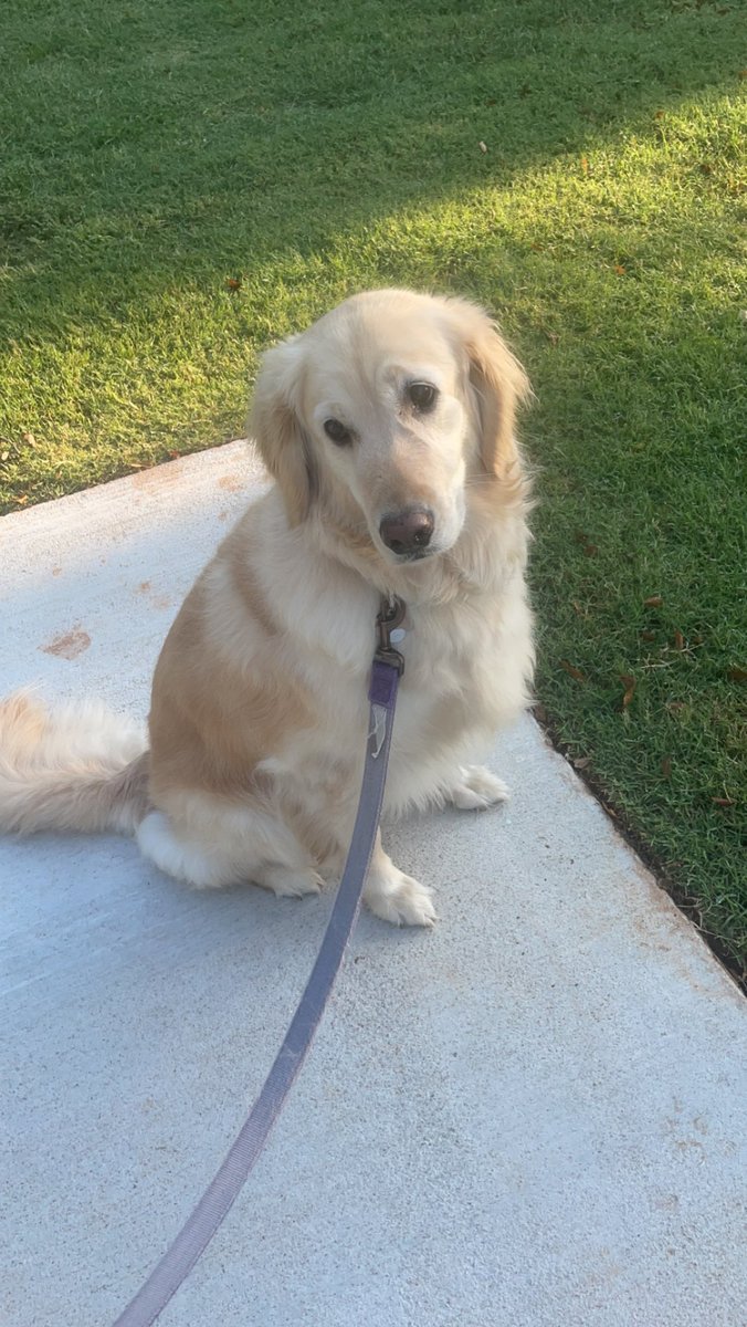 esimmermanatc's tweet image. #BestAtHomeContest