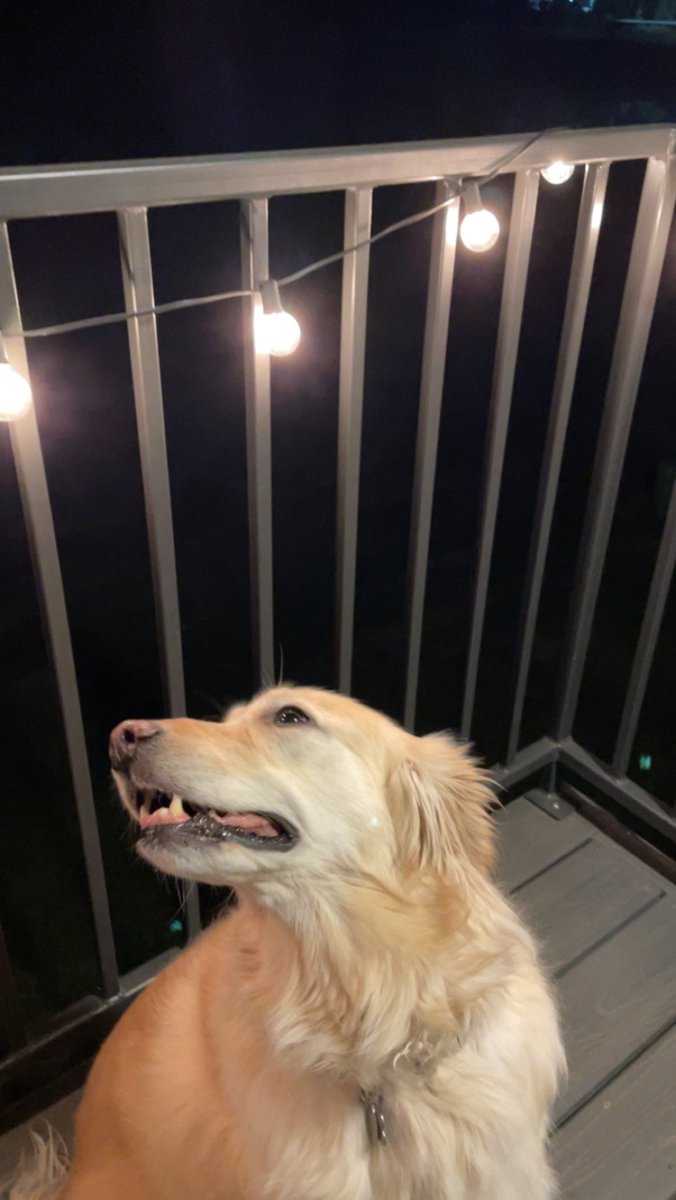 esimmermanatc's tweet image. #BestAtHomeContest