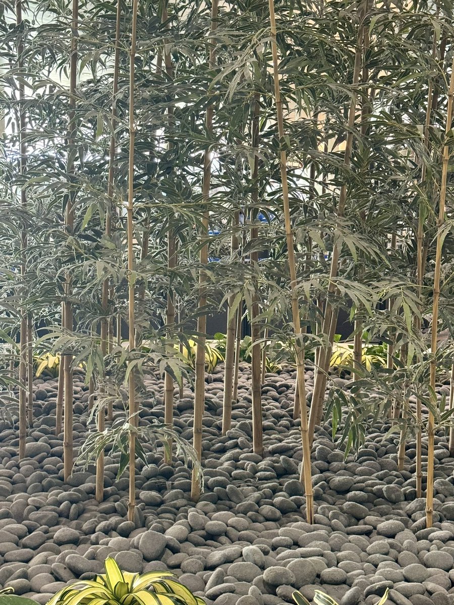 Michael Derewenko tweet media